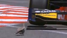 Pauk&scaron;čio ir GP2 bolido akistata