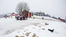 WRC etapas &Scaron;vedijoje