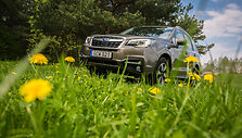 &bdquo;Subaru Forester&ldquo;