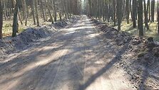 Dviračių taku &scaron;į pavasarį į Juodkrantę jau nebenuvažiuosi - vyksta intensyvūs statybos darbai, o keliauti dviračiu plentu, kur vyksta ir automobilių eismas, ryžtasi ne visi. 