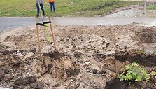 Liūtis Vilniuje paplovė dirbtinai suformuotą &Scaron;e&scaron;kinės-Ozo pavir&scaron;inių nuotekų valyklos &scaron;laitą