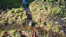 Elektrėnų ugniagesiai gelbėtojai i&scaron;gelbėjo &scaron;unį po sudėtingos operacijos