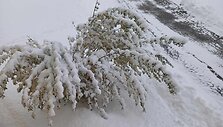 Kroatitjoje netikėtai smarkiai prisnigo