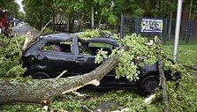 Automobilį sutrai&scaron;kęs medis Valco mieste