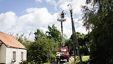 ESO darbuotojai intensyviai tvarko elektros linijas