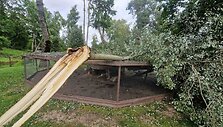 Audros nuniokotas Taujėnų dvaro parkas