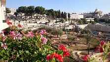 Aidos pabėgėlių stovykla Palestinoje