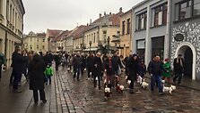 Kauno senamiestyje vyko kasmetinis &bdquo;Westukų&ldquo; žygis