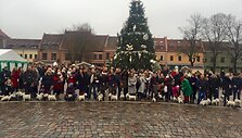 Kauno senamiestyje vyko kasmetinis &bdquo;Westukų&ldquo; žygis