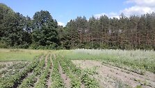 Moliadugnio kaimas, kuriame belikę 5 gyventojai
