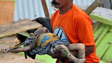 Po žemės drebėjimo Indonezijoje