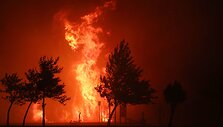 Kalifornijoje siaučiantys gaisrai pasiekė Los Andželą