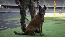 NATO pratybos Lietuvoje