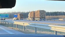Greitkelyje prie Panevėžio susidūrė mi&scaron;kavežis ir BMW