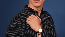 Modelis