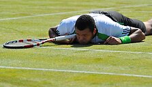 Jo-Wilfriedas Tsonga