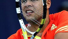Jo-Wilfriedas Tsonga