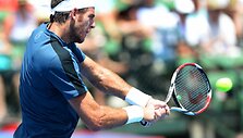 Juanas Martinas del Potro