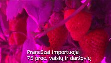 56683ddd60bf2video_56683db569a37