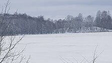 Galuonų ežeras žiemą