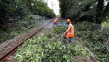 Vėjas vertė medžius ant geležinkelio bėgių, taip sutrikdymas traukinių eismą Prancūzijoje.
