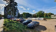 Darbai buvusio ąžuolo vietoje