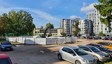 Darbai buvusio ąžuolo vietoje