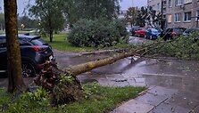 Pirmadienio rytas,  Vir&scaron;uli&scaron;ės, Justini&scaron;kių gatvė