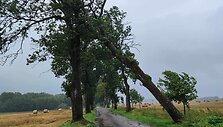 Lenkijos gelbėtojų darbas