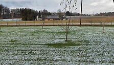 Lapkričio 19-osios rytas Plungės rajone