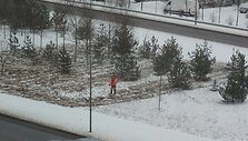 &Scaron;ienauti žolę galima ir sausį, nesvarbu, kad sninga