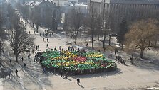 Vienyvbės aik&scaron;tėje pražydo trispalvė gėlė