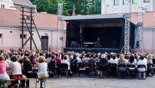 Ry&scaron;ių istorijos muziejus