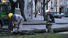 Pirmadienio rytą Klaipėdoje buvo &scaron;alinami uragano padariniai. 