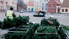 Tikimasi, jog dirbtinė eglė miestiečiams patiks ne mažiau, nei gyva. 