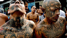 MS-13 gaujos nariai