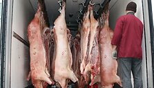FNTT pradėjo ikiteisminį tyrimą dėl neteisėto praturtėjimo 
