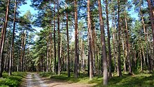 Latvijos mi&scaron;kas