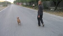 Visur i&scaron; paskos sekioja &scaron;unys