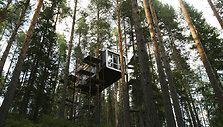"Treehotel"