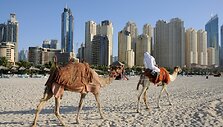 Kupranugariai paplūdimyje Dubajuje