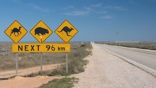 Pietų Australia