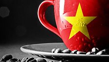 Vietnamo kava