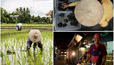Maisto kultūra Tailande ir Vietname