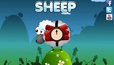 Suicide Sheep