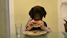 скриншот с видео 