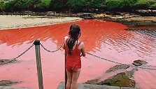 Скриншот с видео