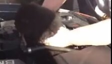 Скриншот с видео
