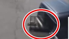 Скриншот с видео 
