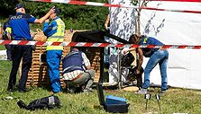 В Швейцарии рухнул туристический воздушный шар